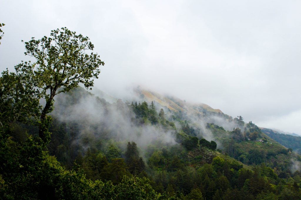 foggy cliffs while driving big sur