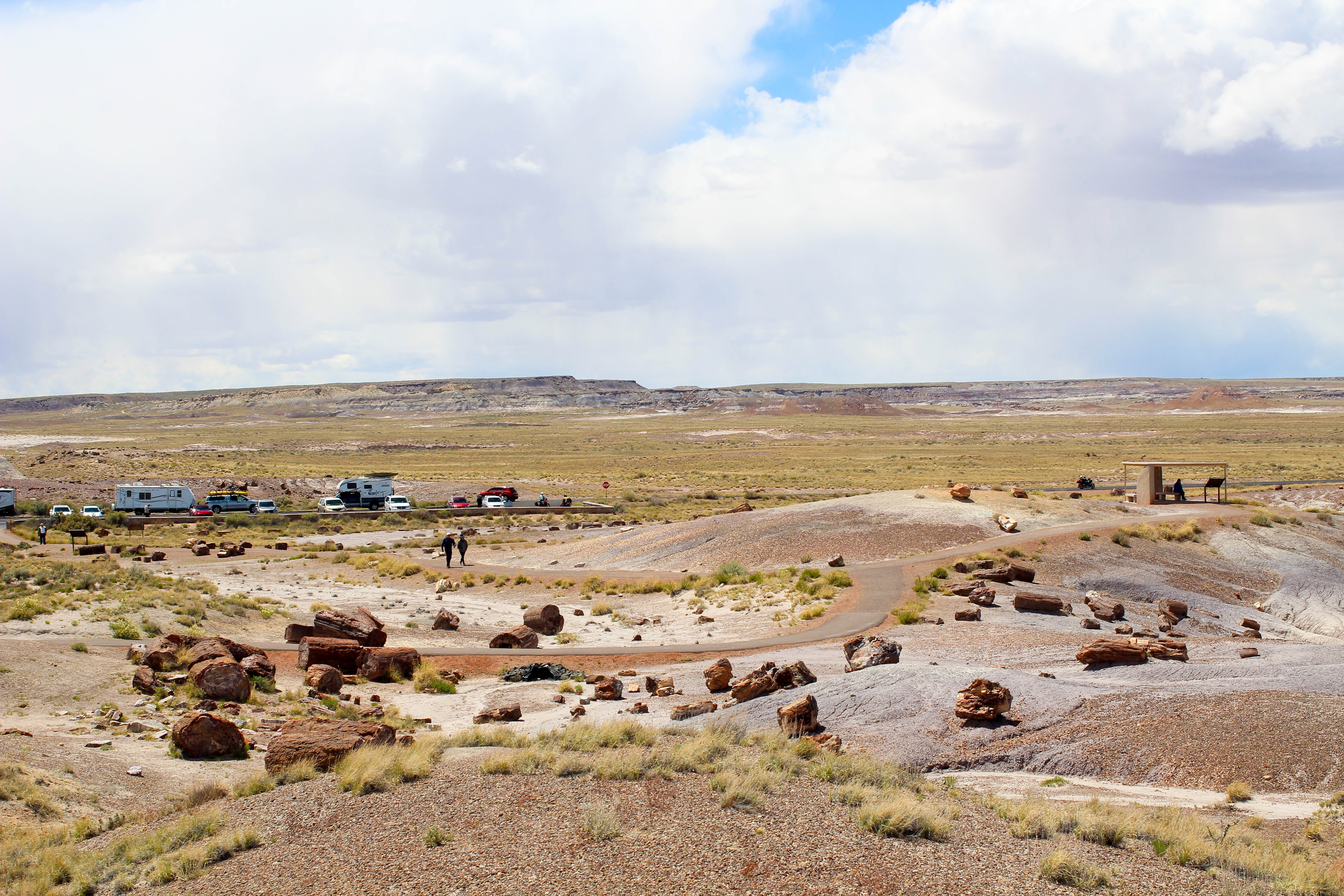 petrified tree trunks strewing the land in petrified forest national park