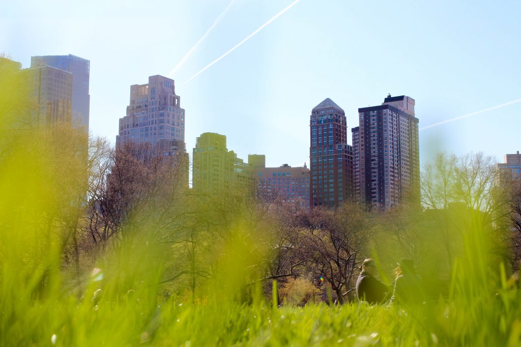 grass peeking up from the bottom of the frame, looking up at buildings next to central park in New York City, on of the best spring break destinations in the US