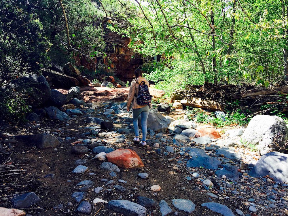 addie walking through the forest