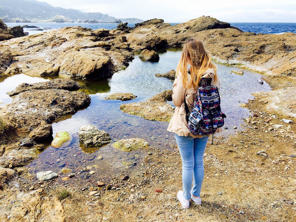 addie standing in front of a small tidepool taking pictures at point lobos