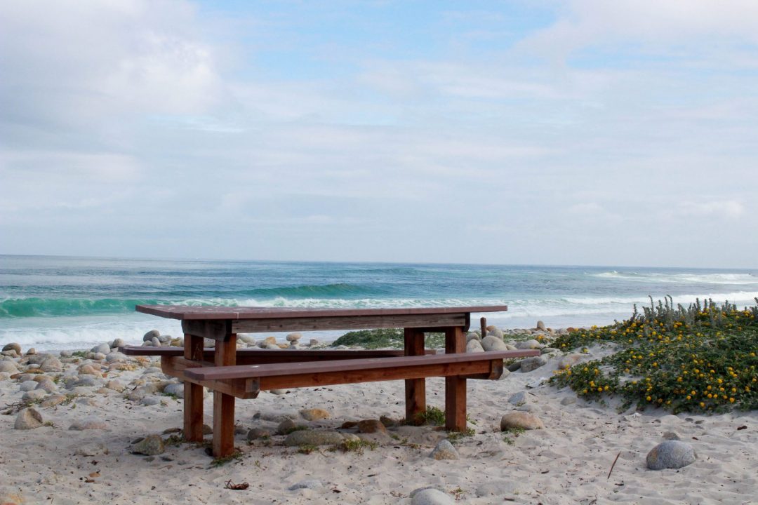 17 mile drive at pebble beach picnic table