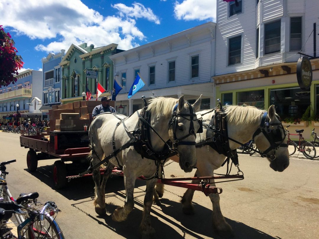 Mackinac Island Horses