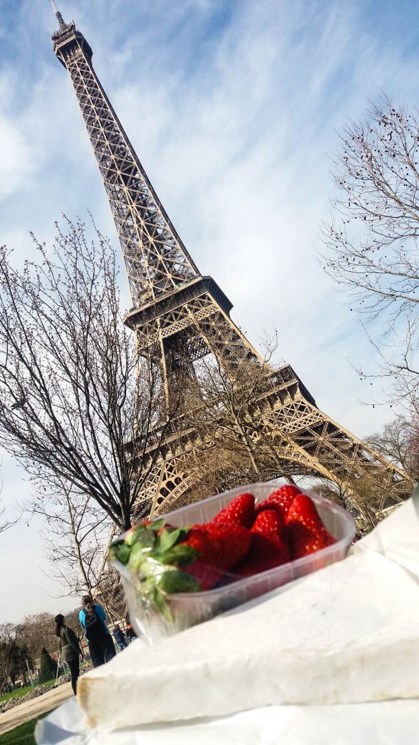 Visiting Paris for only one day may seem crazy, but seeing the top sights is actually possible! Use this itinerary to see the top sights in Paris in only one day. See the Louvre, the Eiffel Tower, and Notre Dame!