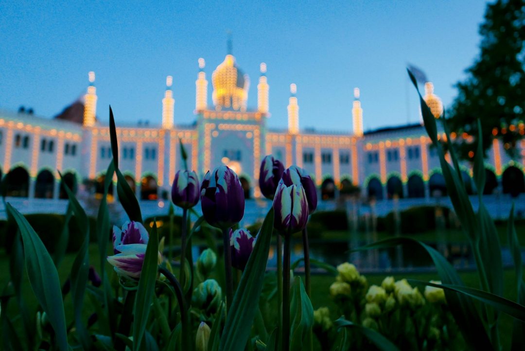 Copenhagen is quickly becoming one of the trendiest cities in Europe to visit. With only 3 days in Copenhagen, first-timers can craft an itinerary to get an overview of the city. Check out this post for the perfect 3 day Copenhagen itineray for first timers, or pin it for later!