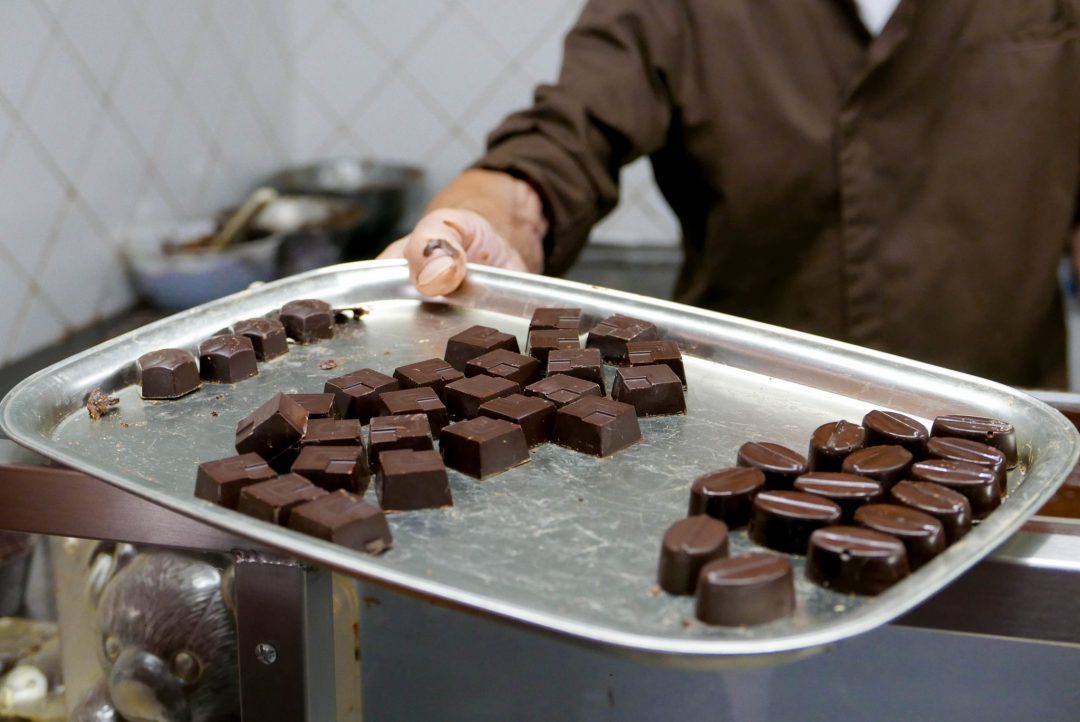 Brussels Museum of Cacao and Chocolate Praline Demonstration Samples