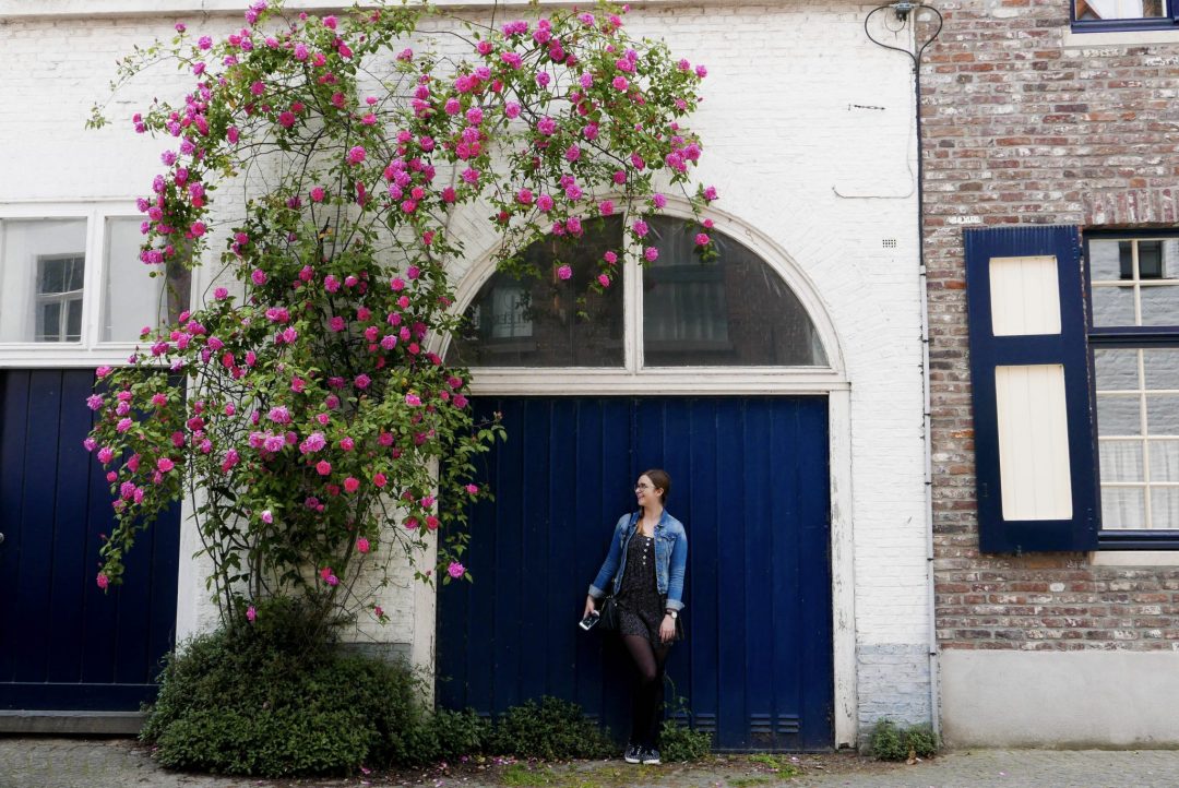 Bruges Door Flowers