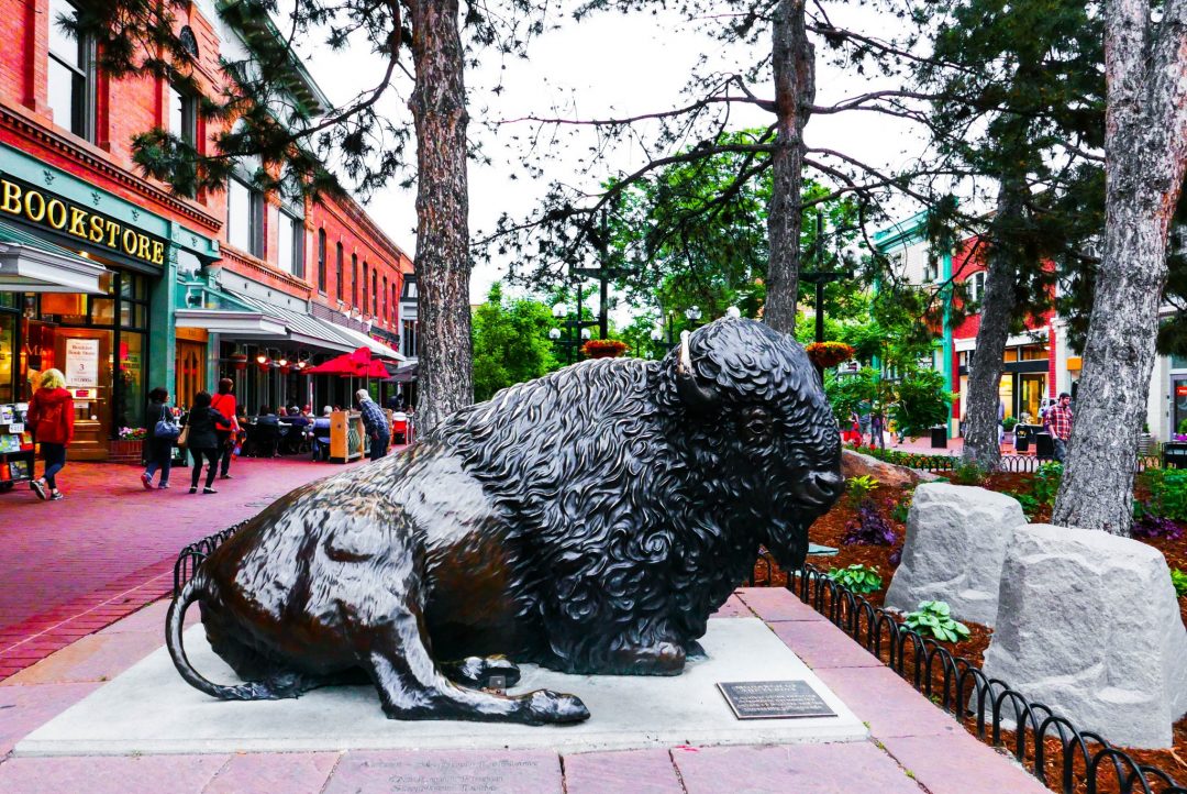 Boulder Pearl Street Buffalo