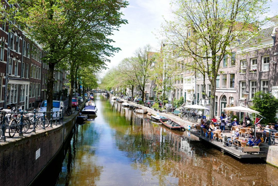 Amsterdam Trees Canal
