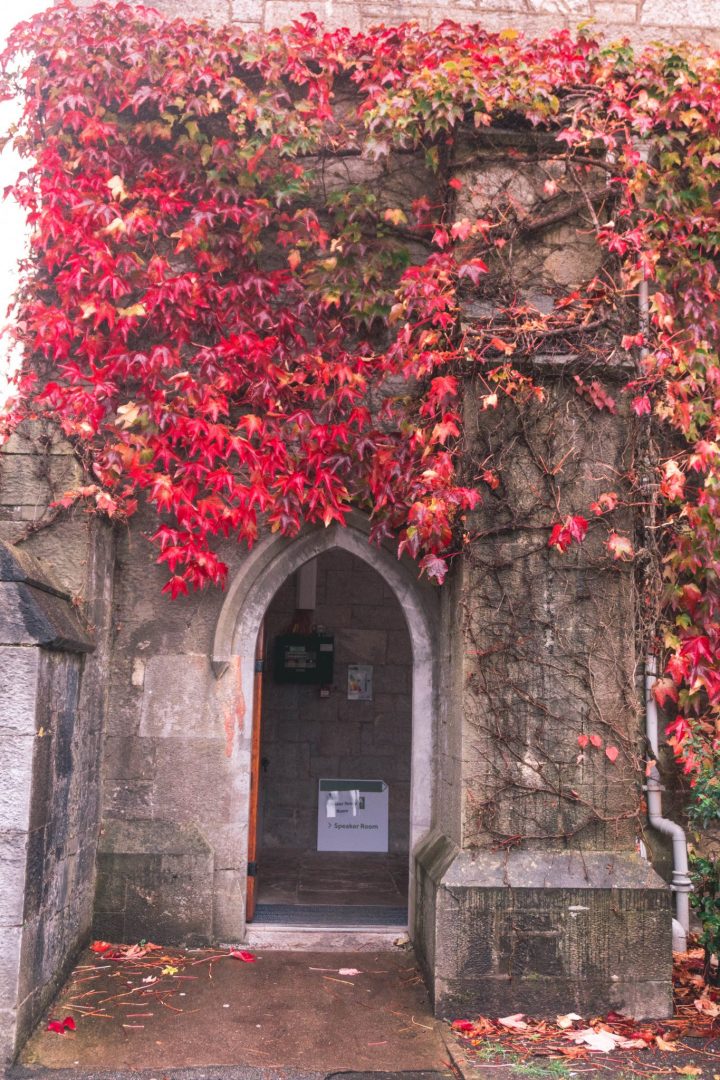 Ivy Door at the University College Cork City Ireland