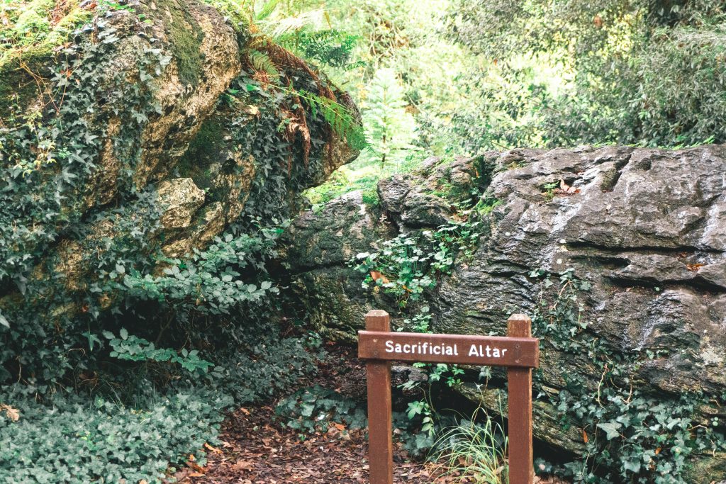 Rock Close Sacrificial Altar Blarney Castle Ireland