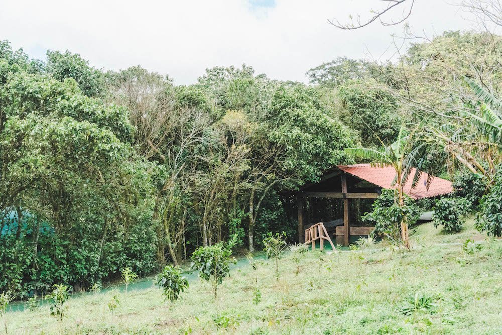Small hut on a coffee farm in Monteverde, Costa Rica