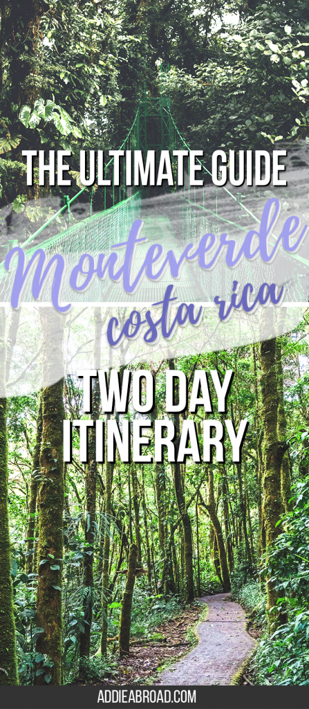 Are you visiting Costa Rica? You need to go to Monteverde! Here's how to spend a great two days in Monteverde, Costa Rica, including what to do, where to stay, and what to pack for Monteverde.