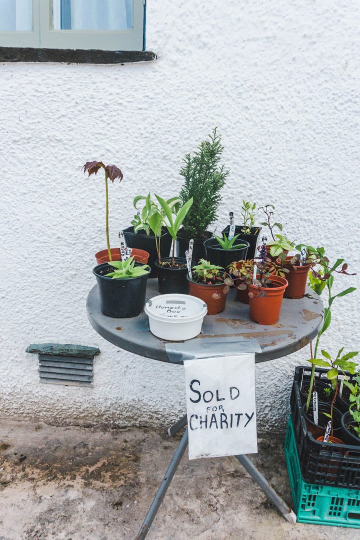 A small table outside a house in Hawkshead with plants sold for charity