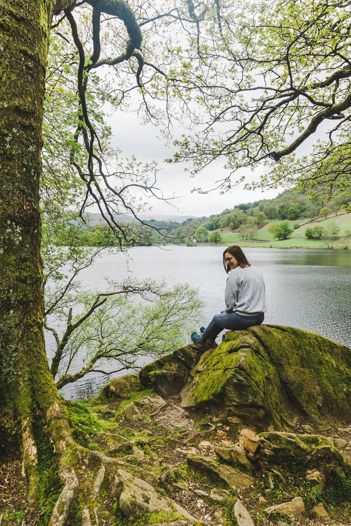 Addie looking over her shoulder on a rock at Rydal Water in the Lake District, England