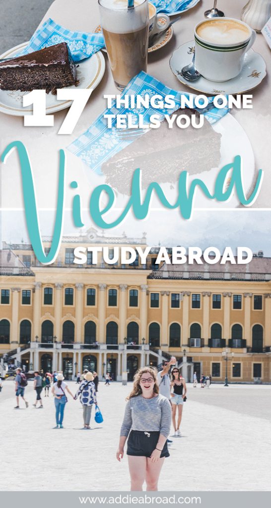 Thinking about studying abroad in Vienna? Here are 17 thing no one tells you that you'll need to know in order to survive. From everyday life to words that only exist in Austria, here's everything you need to know about Vienna study abroad. #europe #travel