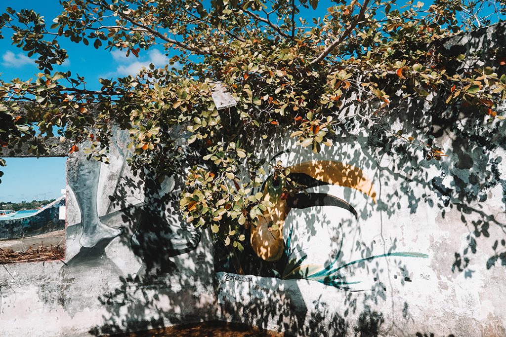 Tucan art at the Canal de los Piratas