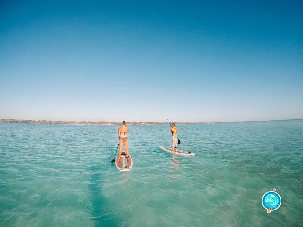 Stand up paddleboarding on the Bacalar lagoon