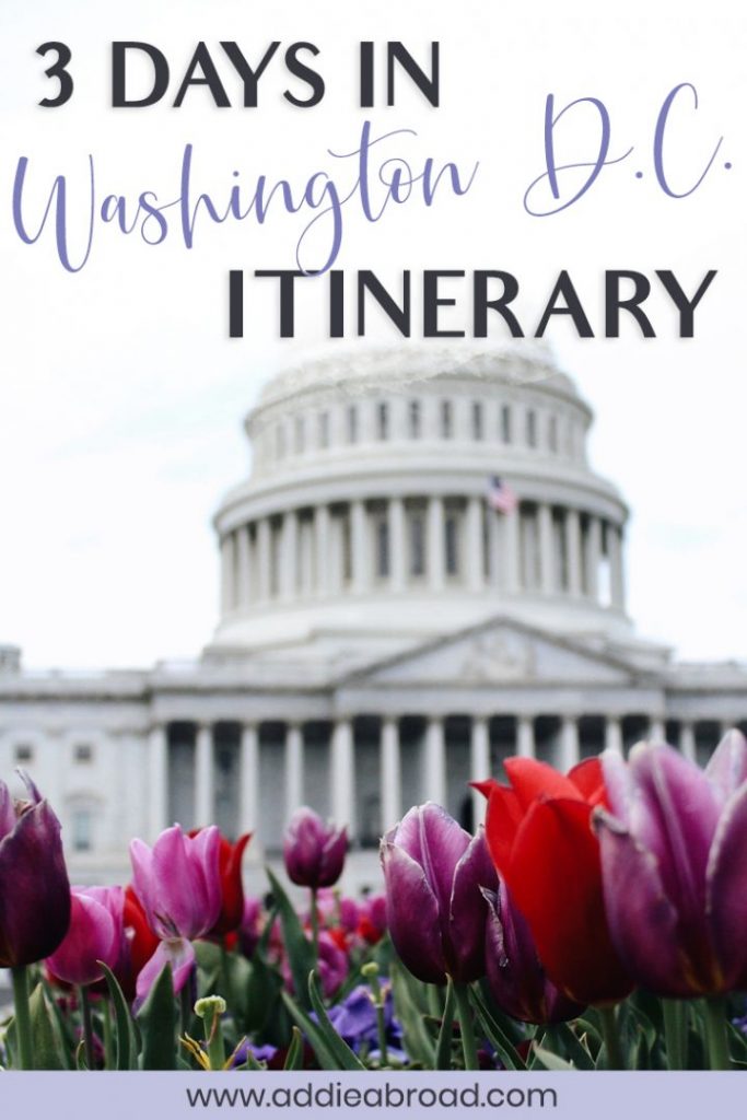 3 days in Washington DC is the perfect amount of time get a taste of everything the city has to offer. Eat good food, visit Georgetown and the Smithsonian Museums, and maybe even see the cherry blossoms! For all the best things to do in Washington DC, check out this Washignton DC itinerary for first timers! #washingtondc #usatravel #travel