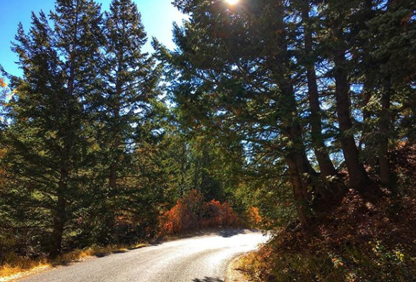 The Alpine Loop in Salt Lake City, Utah