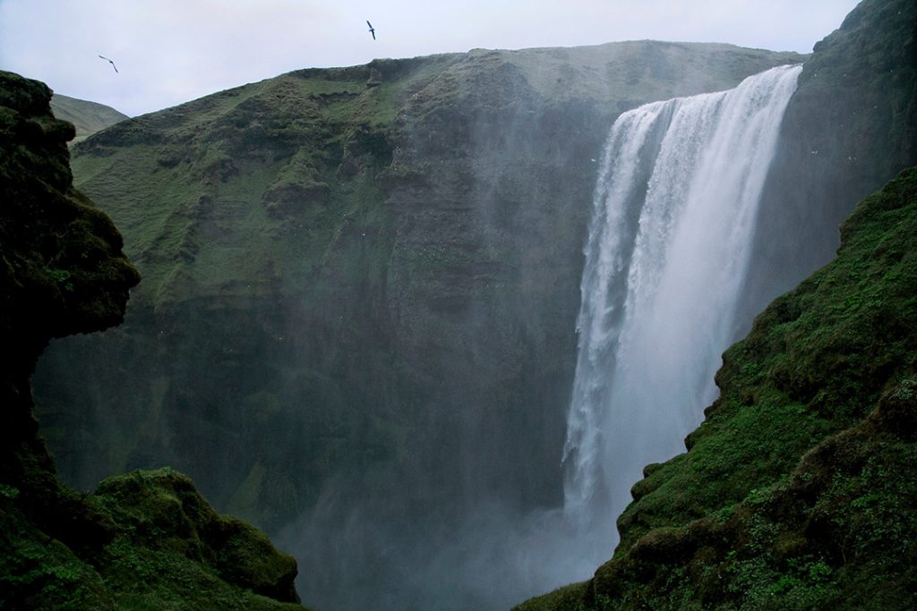 A waterfall in Iceland in the fall