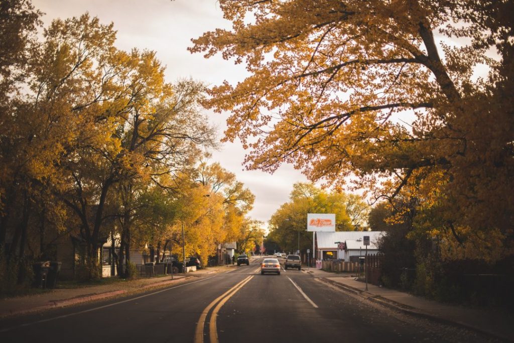 A road through autumn trees Flagstaff, Arizona