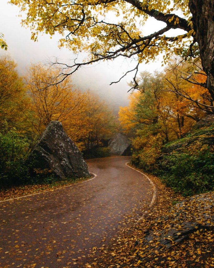 A road through fall colors on Route 100 in Vermont