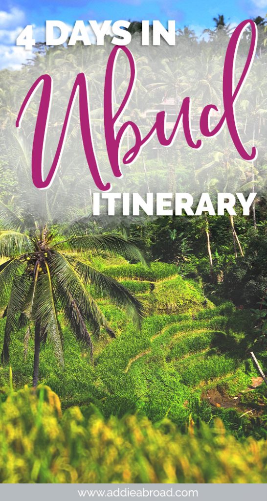 Looking for things to do in Ubud, Bali? This 4 day Ubud itinerary has all of the must-dos and off-the-beaten-path sights in Ubud, including the Monkey Forest, rice terraces, and a cooking class! Eat the best food and learn about the best accommodation/where to stay in Ubud as well! #ubud #bali #travel