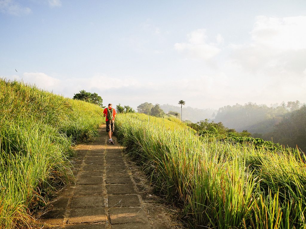campuhan ridge walk in ubud, bali