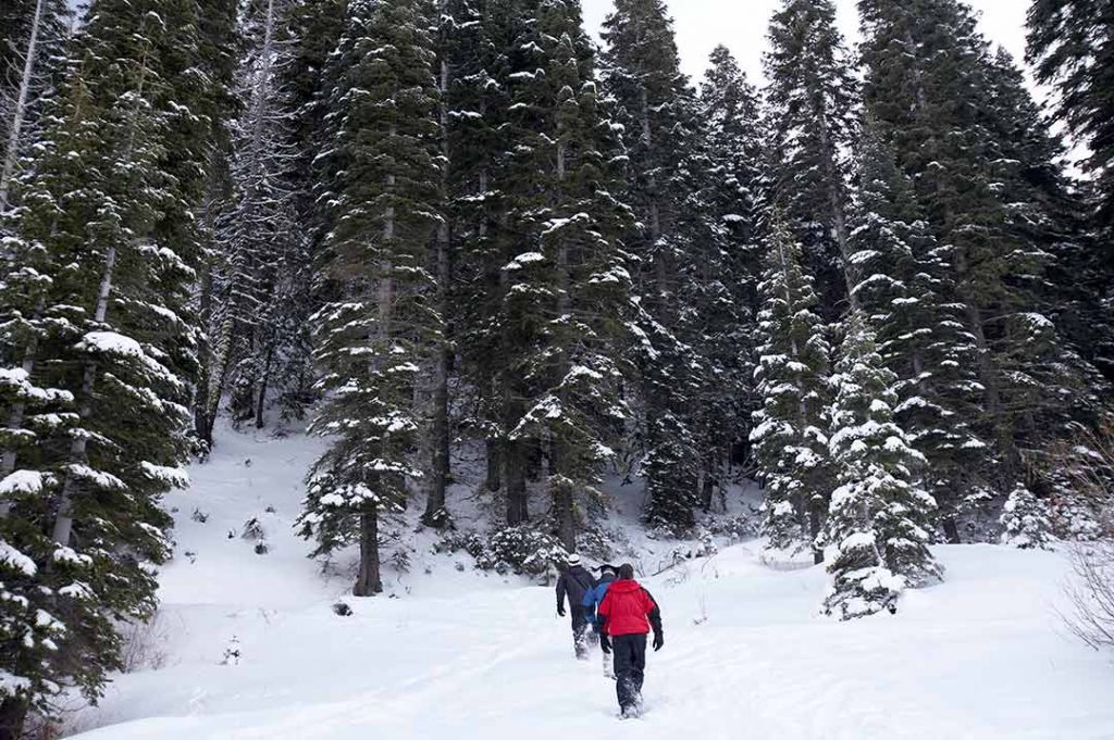 snoeshoeing in Lake Tahoe - beautiful destinations to visit in winter in USA