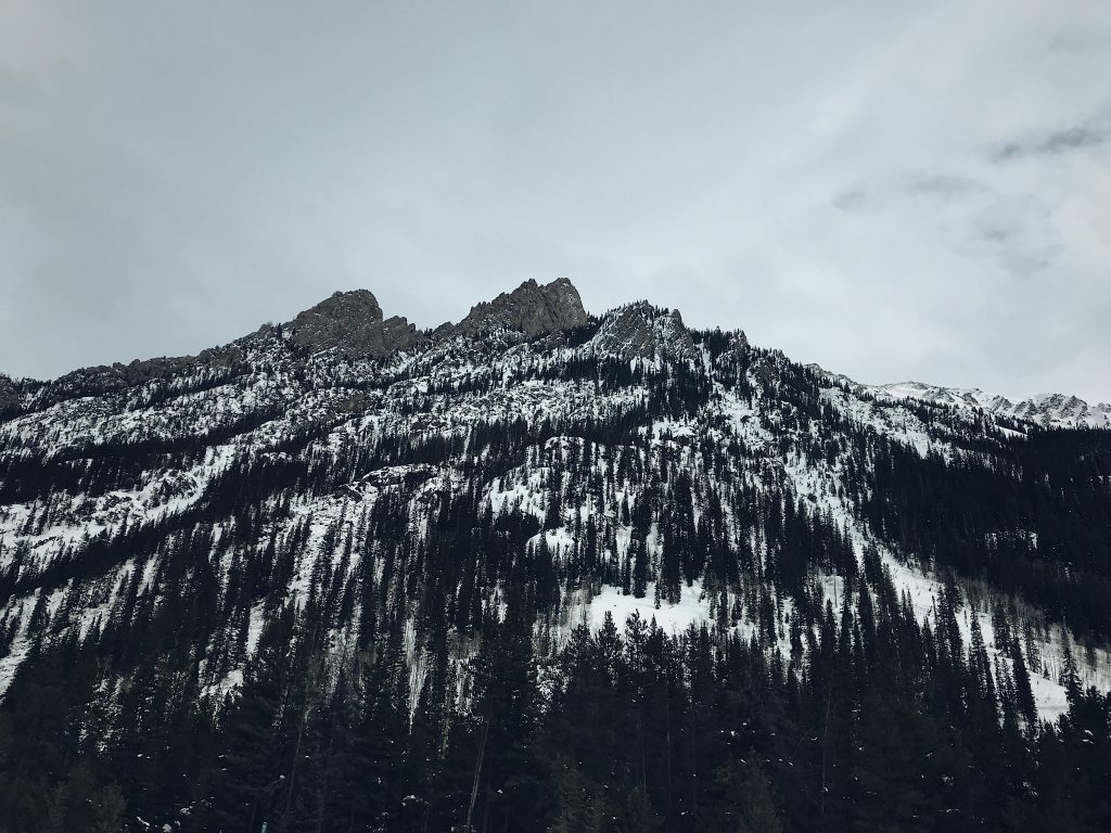 a steep mountain with a forrest of evergreens and snow running up the side in Vail, Colorado - one of the most beautiful places to visit in winter in USA