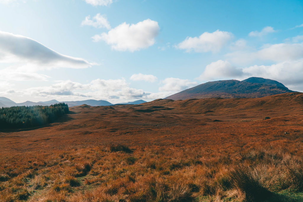 brown orange rolling hills