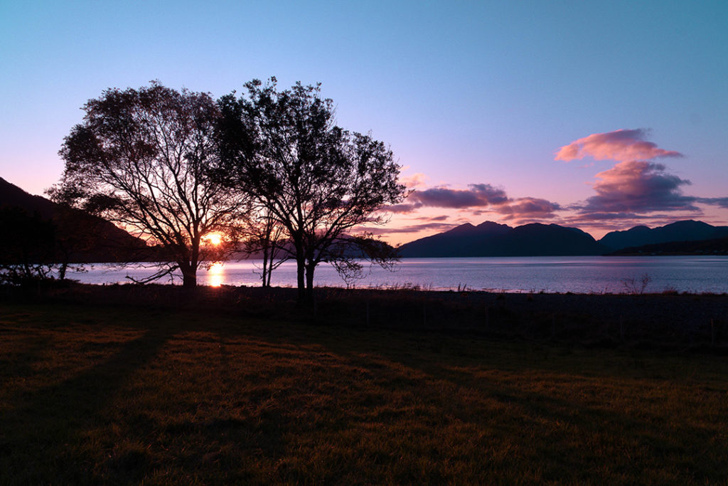 A purple and pink sunset over a lake behind a group of trees