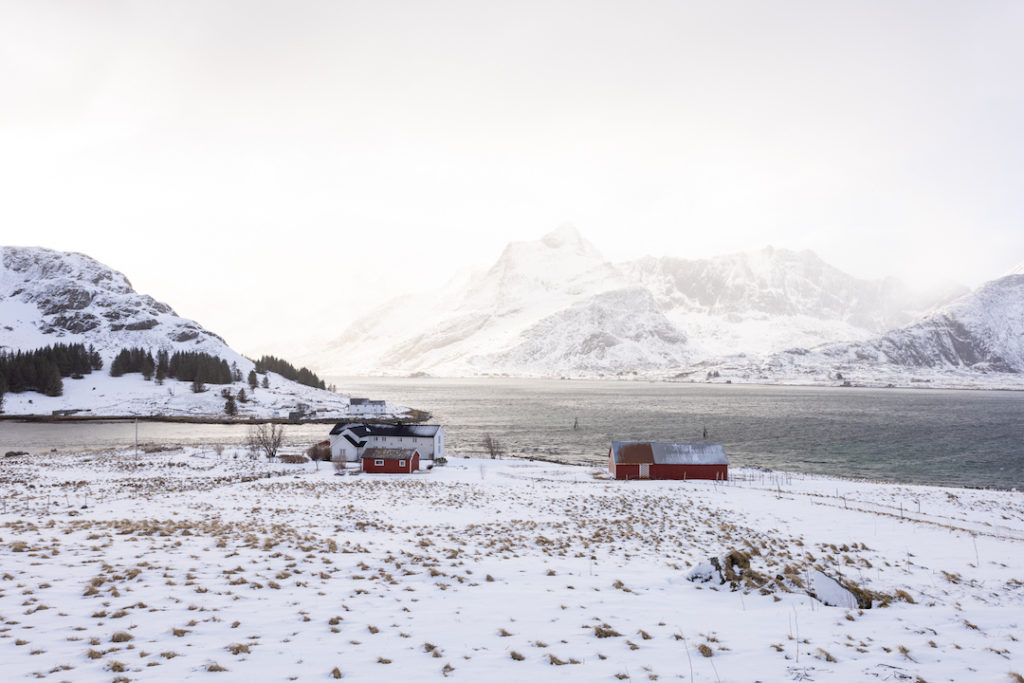 small red cabins in the snowy mountain landscape of the Lofoten Islands in Norway