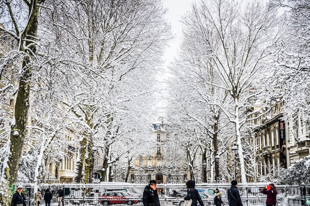 snow covered trees in Paris, France in europe in winter