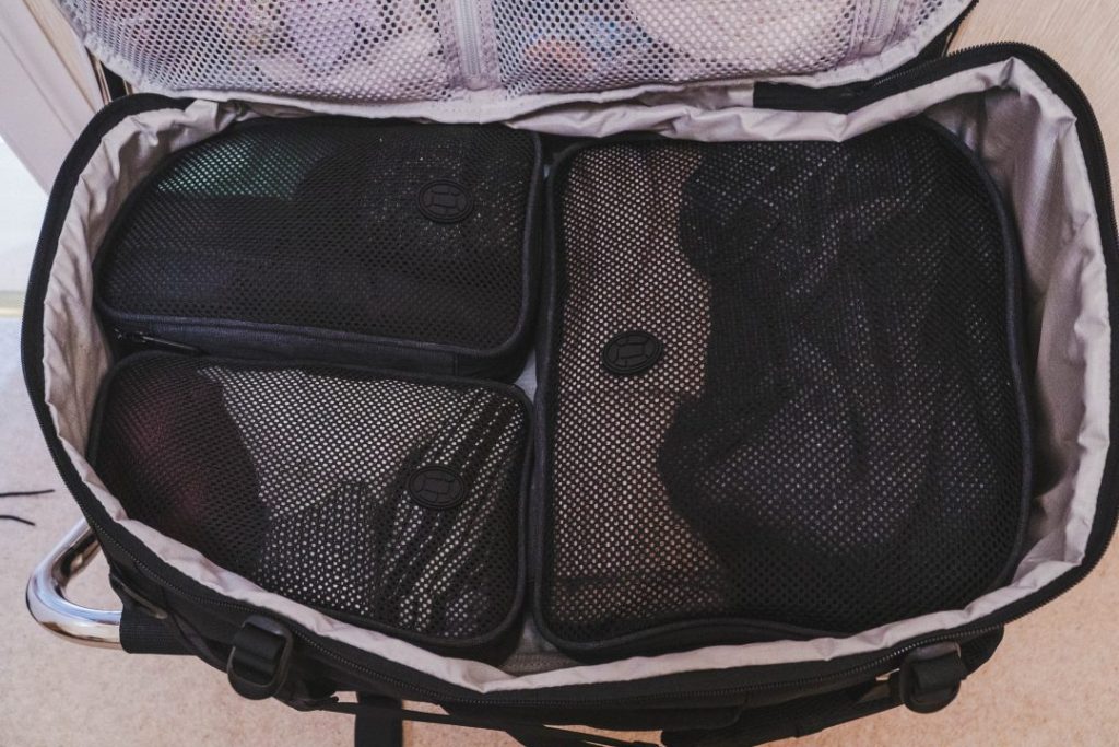 the inside of the tortuga setout backpack