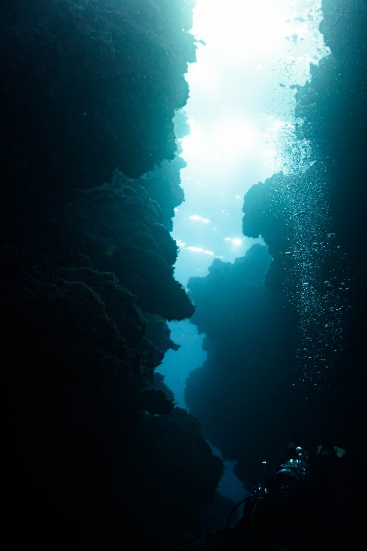 otherworldly coral formations with eerie light shining down from the surface