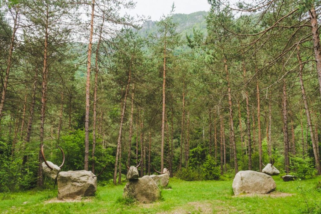 A group of cow statues made out of rocks, arranged in a circle in the woods in Valle di Ledro, Italy