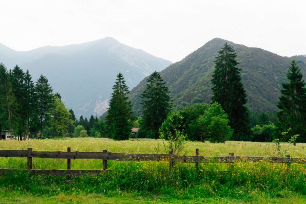 Lush mountains in the background of a green field and pine trees in Valle di Ledro, Italy