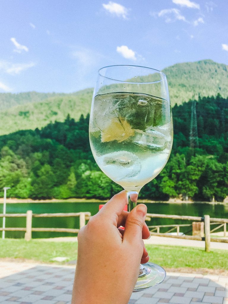 a hugo spritz