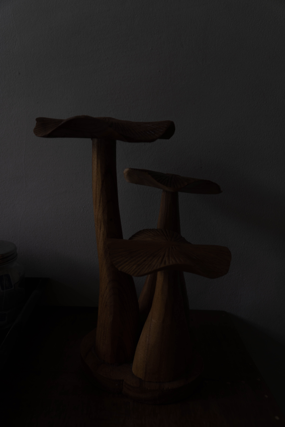 three wooden mushrooms in an underexposed photo - understanding iso can change that