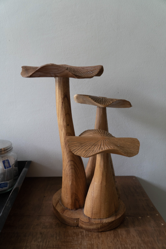 three wooden mushrooms, well exposed, the result of understanding iso