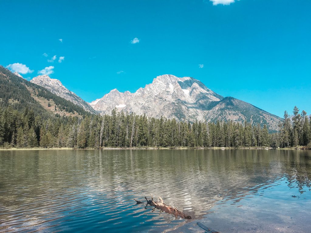 mountain by a lake in grand teton national park - national parks pictures