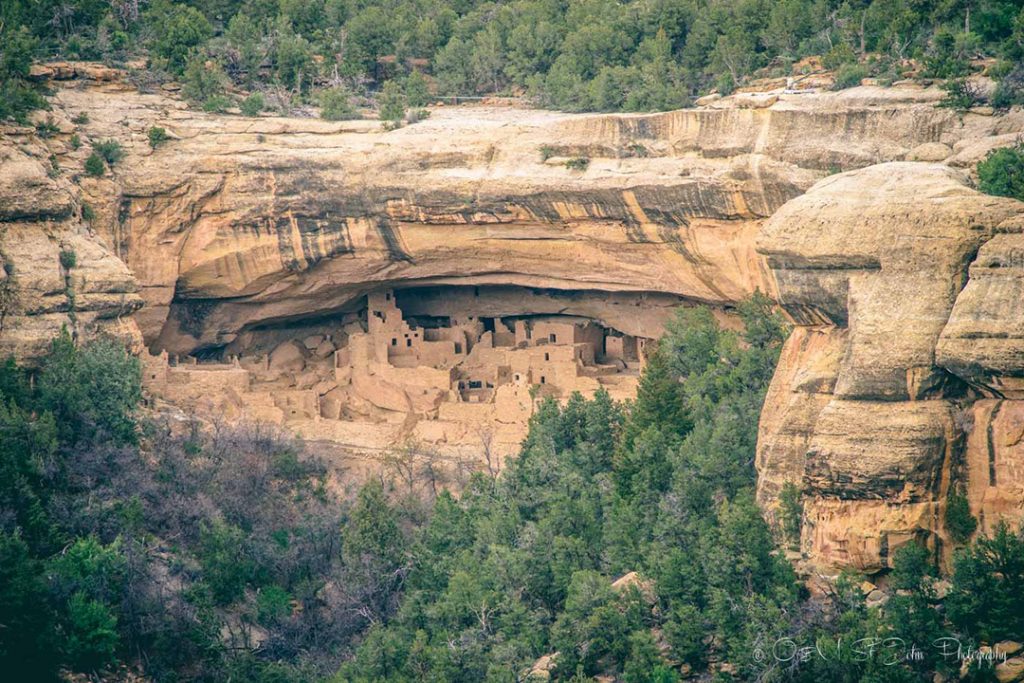 cliff dwellings in mesa verde national park