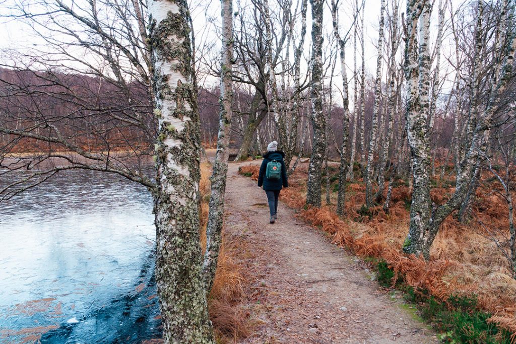 addie walking in craigelachie nature reserve, one of the best things to do in aviemore