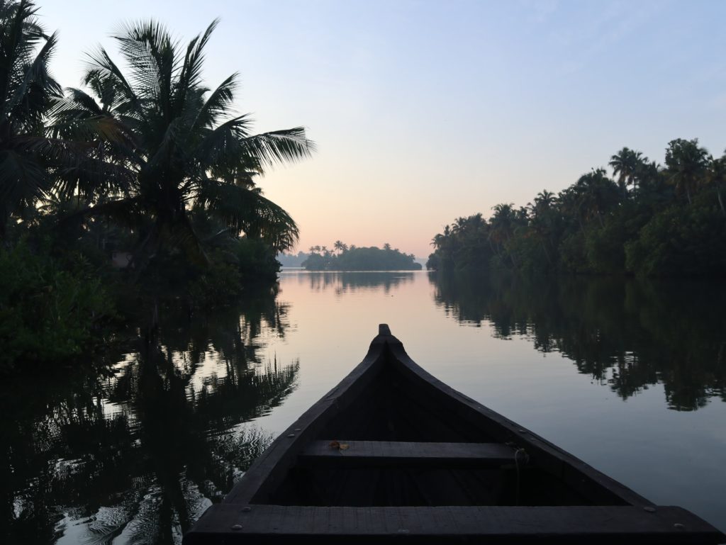 the tip of a boat on a palm-lined river in kerala, india
