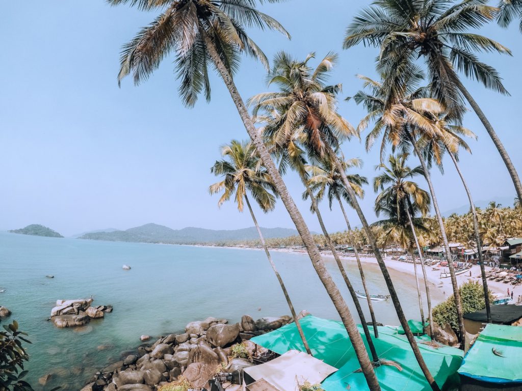 leaning palm trees on the beach in goa, india - one of the best places to go during solo female travel in india