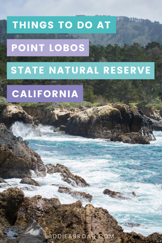 Planning a trip to Point Lobos, California? Here are some of the best things to do in Point Lobos, including tide pools, hiking, and scuba diving! Click through to learn more.